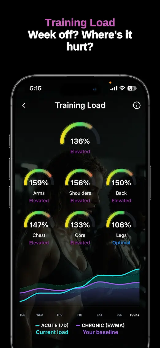 Training Load screen showing load split across six major muscle groups